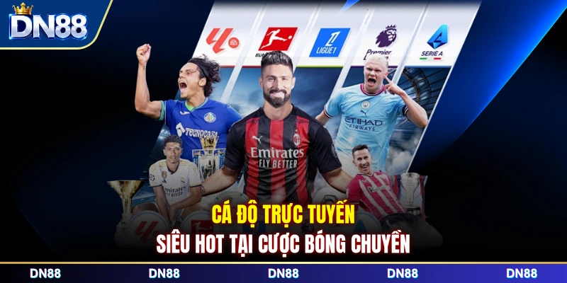 Cá độ trực tuyến siêu hot tại cược bóng chuyền 