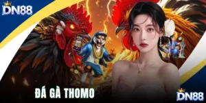 Đá Gà Thomo