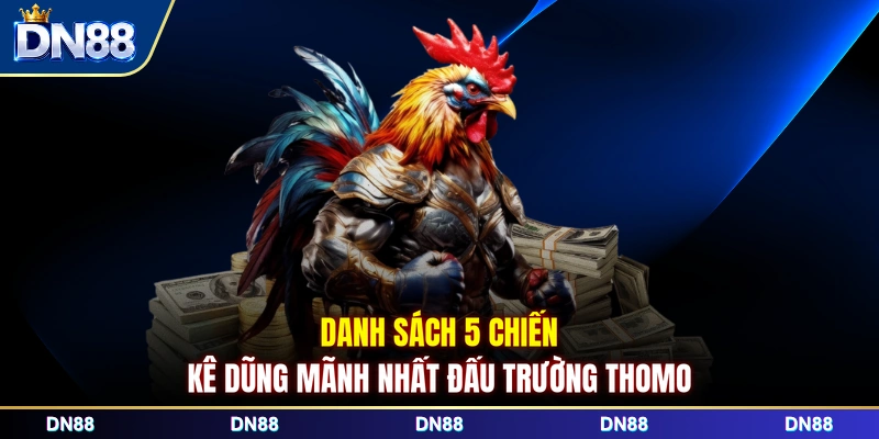 Danh sách 5 chiến kê dũng mãnh nhất đấu trường Thomo 