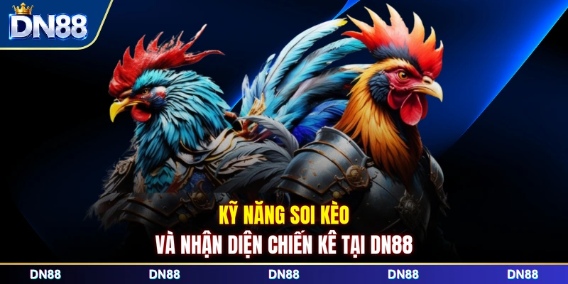 Kỹ năng soi kèo và nhận diện chiến kê tại DN88 