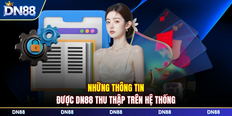 Những thông tin được DN88 thu thập trên hệ thống