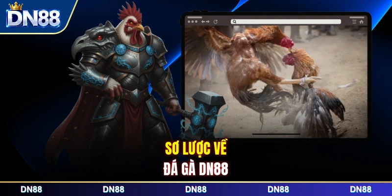 Sơ lược về đá gà DN88