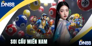 Soi Cầu Miền Nam
