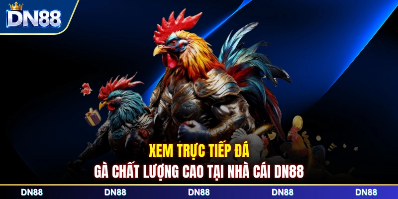 Xem trực tiếp đá gà chất lượng cao tại nhà cái DN88